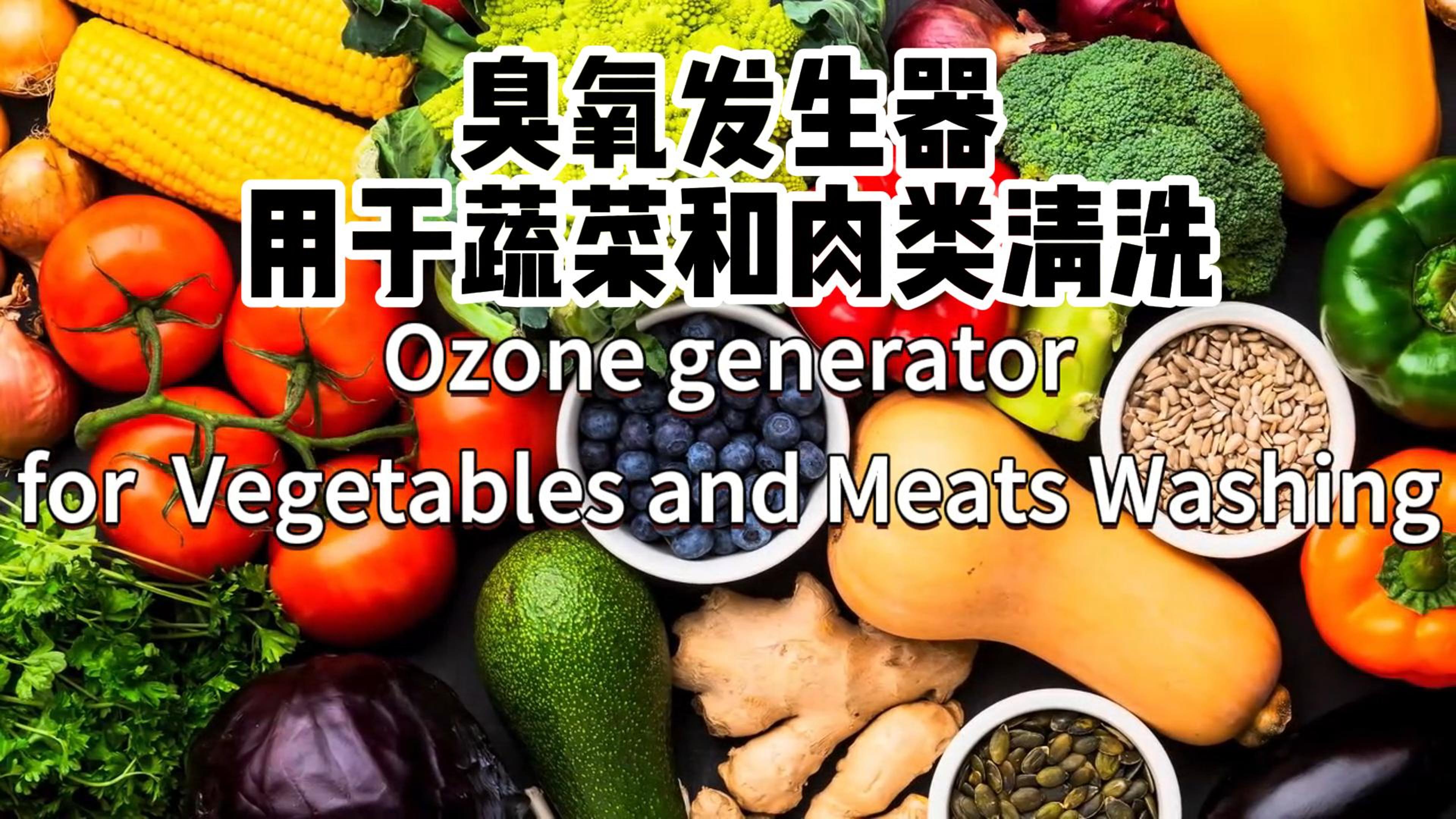 臭氧發(fā)生器在食品加工和儲存過程中用于蔬菜、水果和肉類的消毒